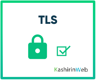 Схема работы TLS протокола - защита передачи данных